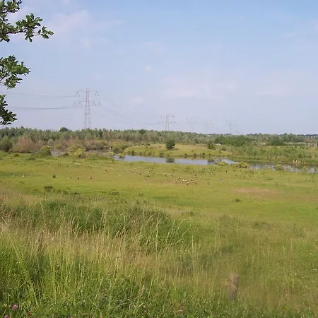 Bed & Breakfast Engelen Holland 3*