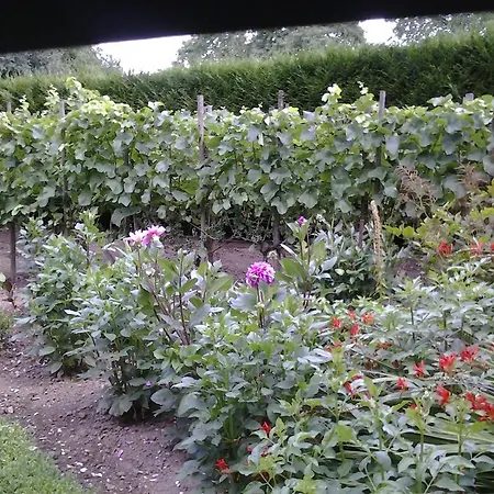 Engelen Гостевой дом Stevensweert