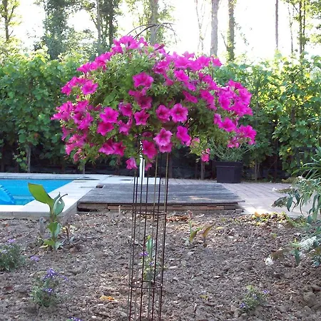 Гостевой дом Engelen Stevensweert